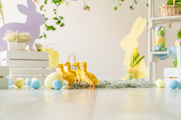 Easter studio decoration ducklings colorful dyed eggs wooden bunnys for festive easter