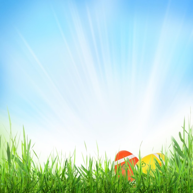 Easter sunny spring background