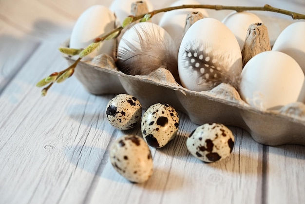 easter white chicken and quail eggs gray kraft backing light background willow branches easter