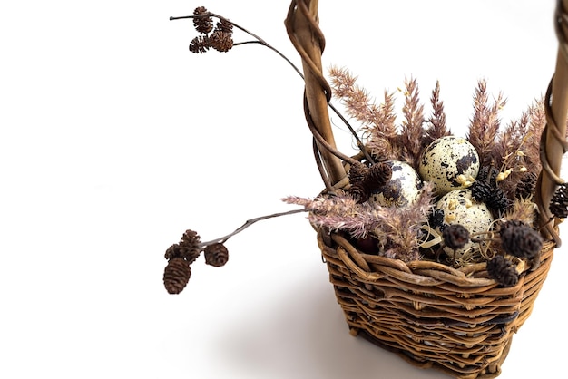 Easter wicker basket with small spotted eggs and fluffy pampas grass,holiday home decoration