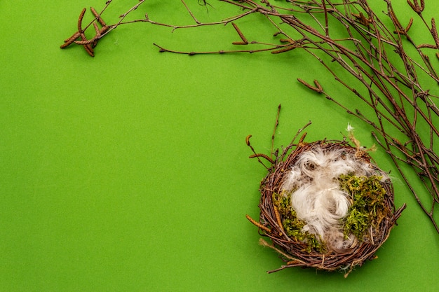 Photo easter zero waste decor, diy concept. design element and decor. bird nest, moss, birch branches, feather. green background