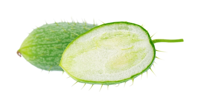 Ecballium isolated on white background Ecballium elaterium or wild cucumber pods