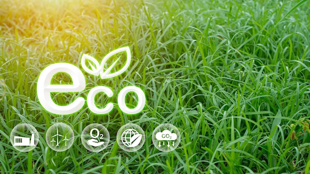 Eco concept for environment society and governance in sustainable business responsible environmental