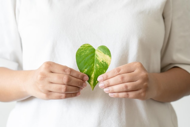 Eco friendly leaf as heart holding by woman hand concept of environmental conservation