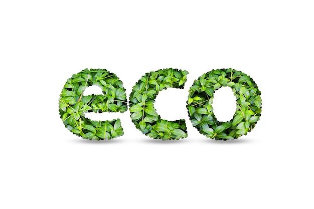 Eco icon made of plants on a white background