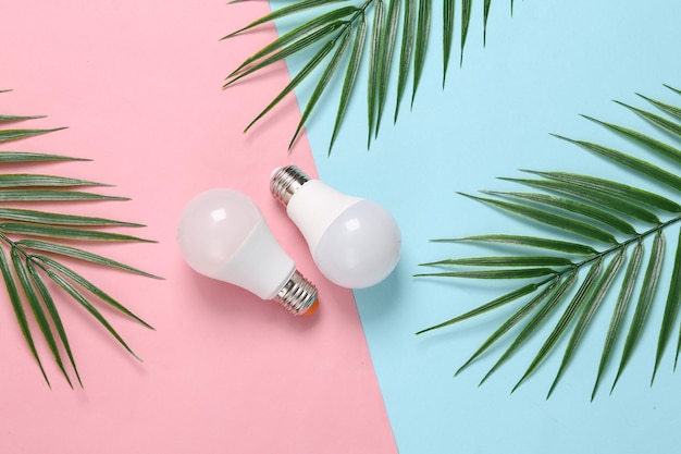 Eco light bulb and palm leaves on pink blue background