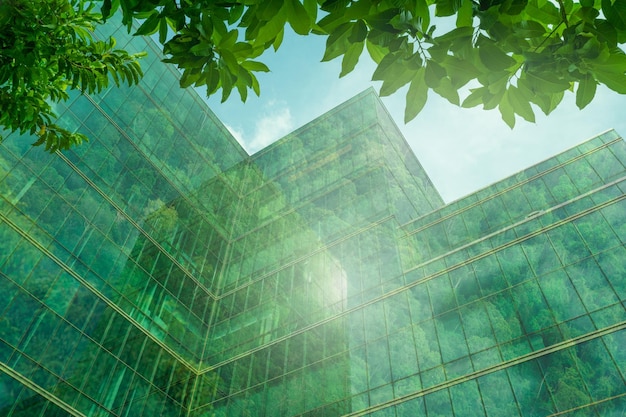 Ecofriendly building in modern city Sustainable glass office building with tree for reduce carbon