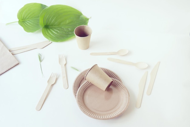 Ecofriendly disposable tableware from natural materials and green leaves