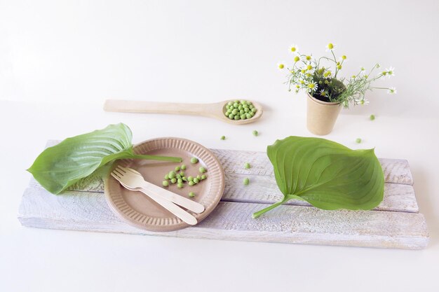 Ecofriendly disposable tableware from natural materials and green leaves