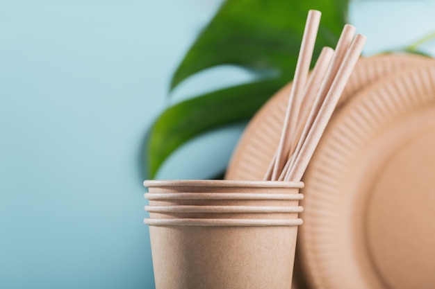 Ecofriendly disposable utensils made of craft paper