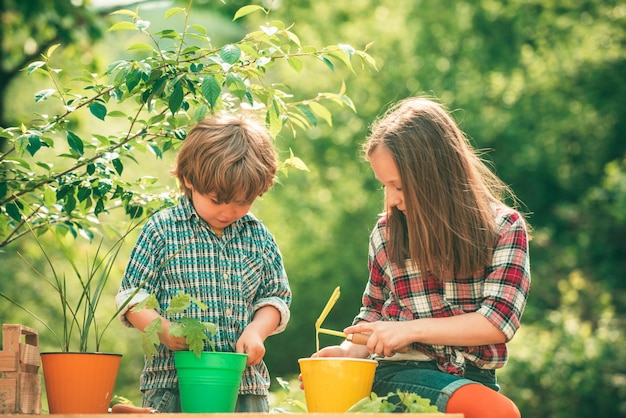 Ecology concept child Two little Farmers children with organic homegrown vegetables