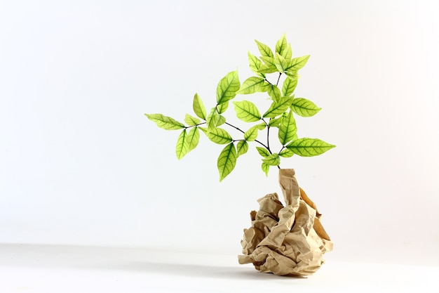 Ecology concept. small plant in recycled paper on white background