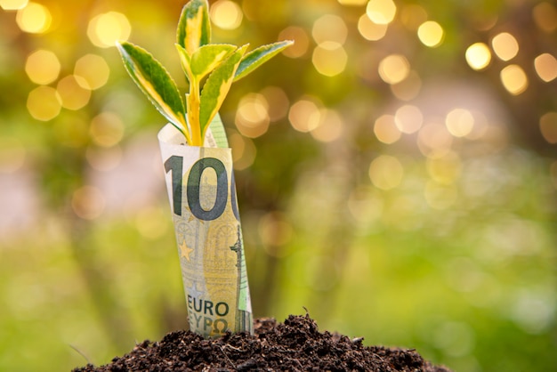 Photo economic growth symbol : one hundred euro banknote with a plant or leaf growing out of the earth with green blurry background