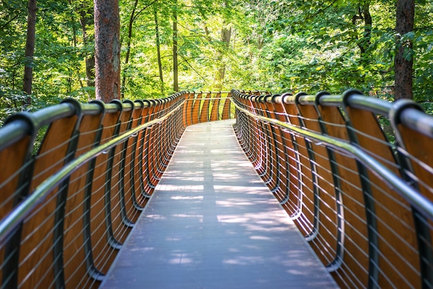 Ecopath in the forest VDNKh Moscow