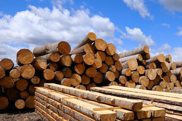 edged board production of wood for sawing birch bark