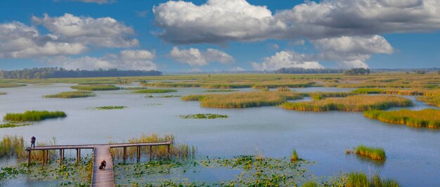 Efteni Lake Duzce City Turkey