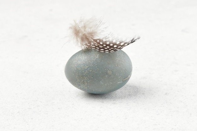 Egg and feather on a gray background Easter celebration concept