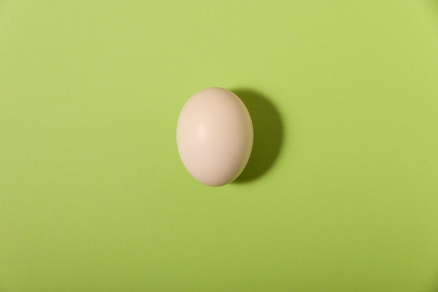 Egg on green background and with shadows