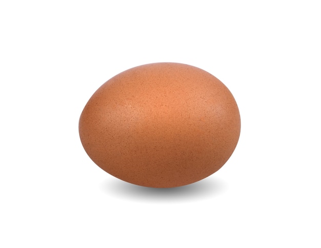 Egg hen isolated on white background