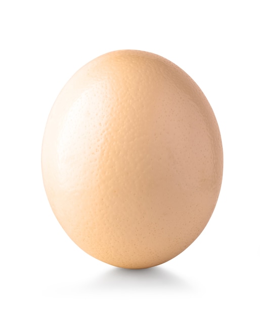 Egg isolated on the white background with clipping path