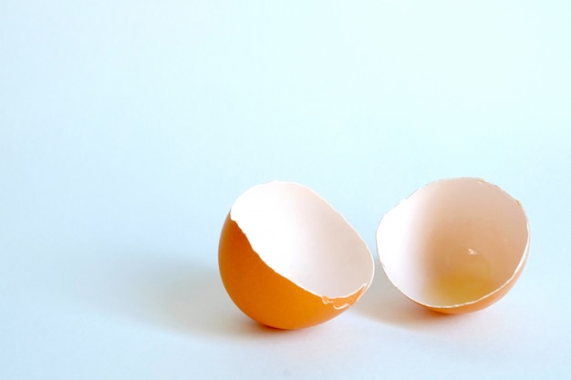 Egg shell cut half on background