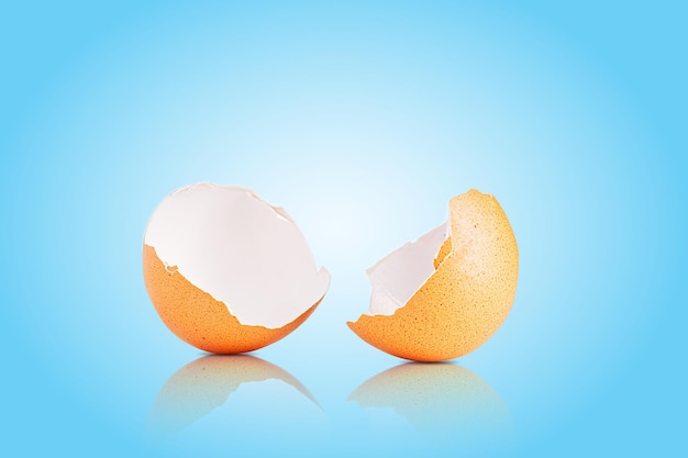 Egg shell isolated on white broken egg shell on light blue background