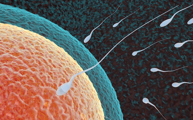 Egg and sperm concept fertilization and sperm fertilization Premium Photo