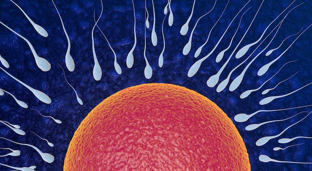 Egg and sperm concept fertilization and sperm fertilization Premium Photo