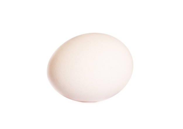 Egg on white background