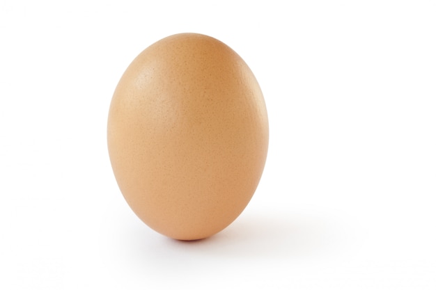 Egg