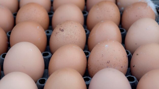 Eggs in a box for sell eggs at the market