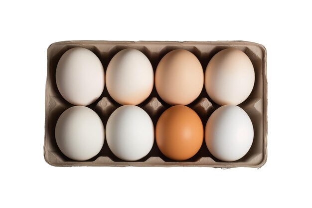 Eggs in carton box isolated on white background