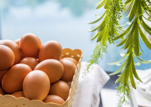 Eggs freshness in basket decorations blurred green leaves