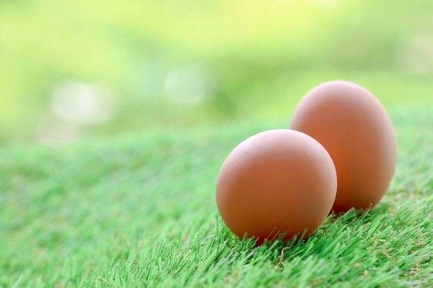 Eggs in green grass on green, blurred