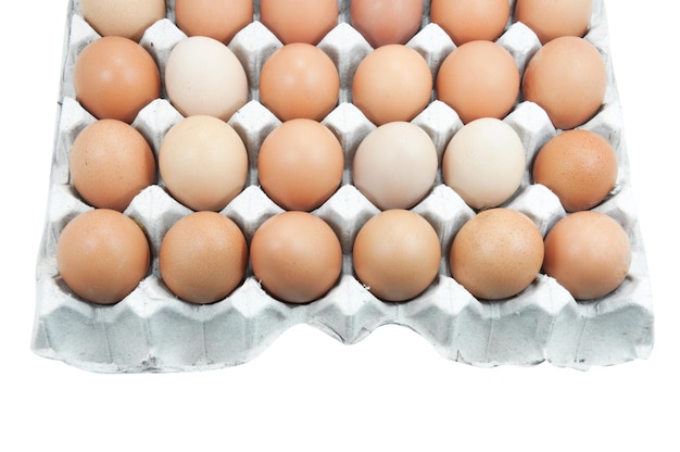 Eggs in paper tray isolated on whiteBrown eggs in an egg carton