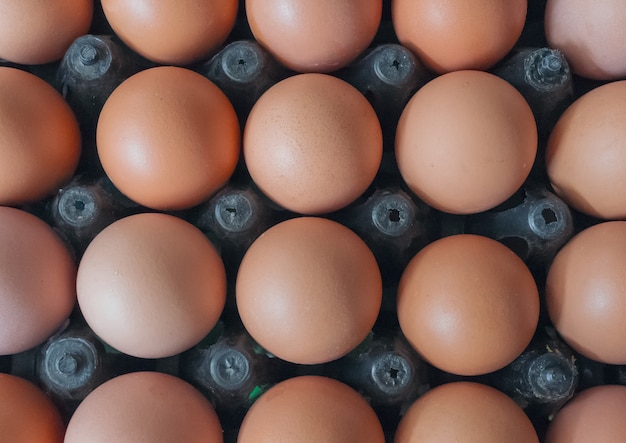 Eggs in plastic tray.