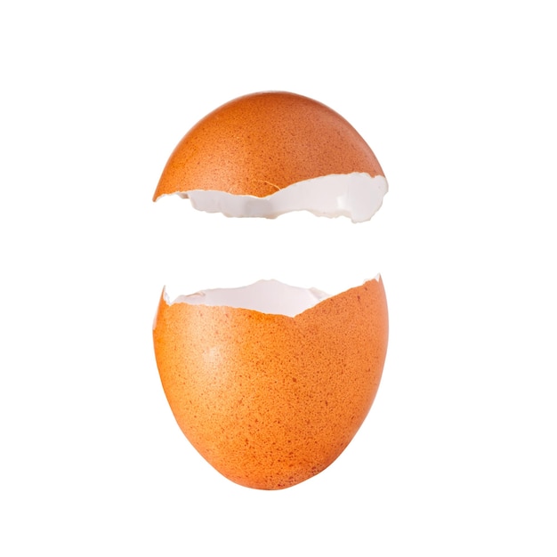 Eggshell isolated on white background isolated broken eggshell