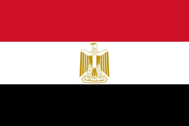 Egypt flag in official colors and proportion correctly