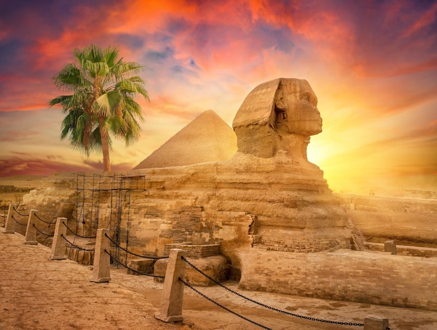 Egyptian sphinx in desert