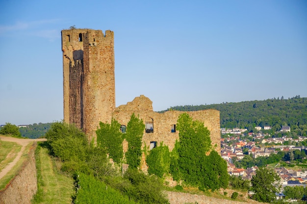 Ehrenfels Castle on Rhine river near Ruedesheim