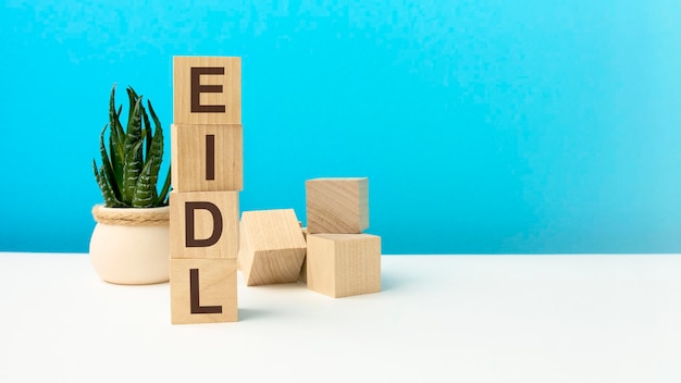 Eidl word is written on wooden cubes on a blue background closeup of wooden elements in the background is a green flower