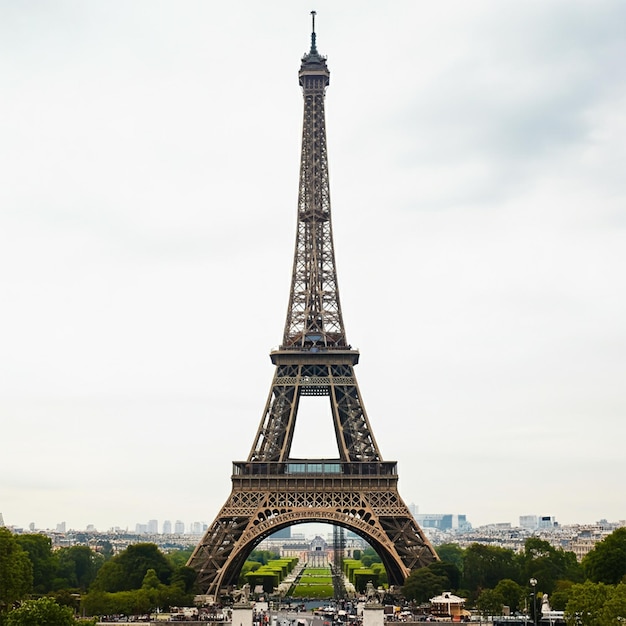 Eiffel Tower on a White Background