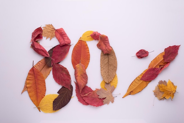 Eighty percent of autumn leaves on a white background