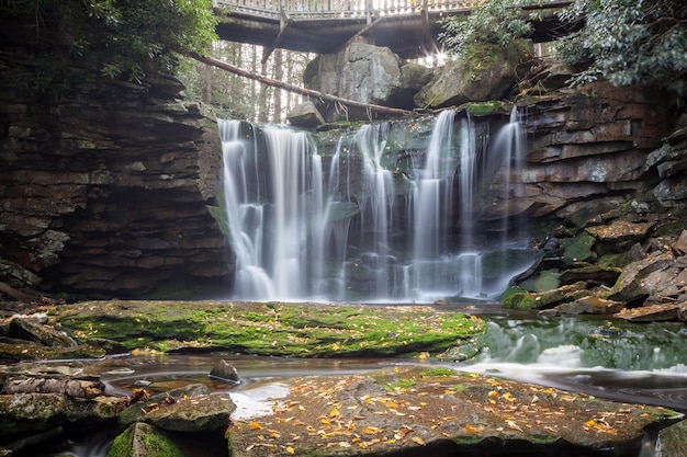 Elakala Falls at Sunrise