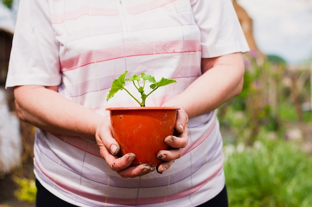 An elderly Caucasian woman in light clothes holds in front of her a brown flower pot