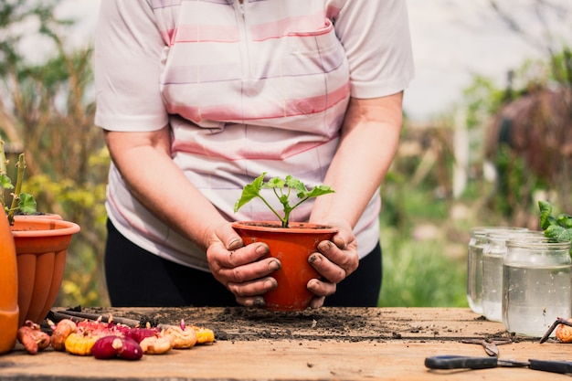 An elderly Caucasian woman in light clothes holds in front of her a brown flower pot