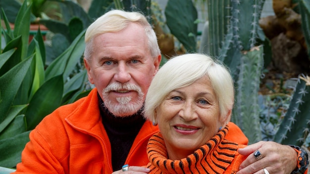 Elderly grayhaired optimistic couple