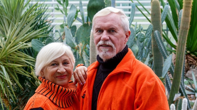 Elderly grayhaired optimistic couple