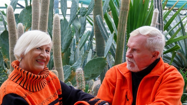 Elderly grayhaired optimistic couple