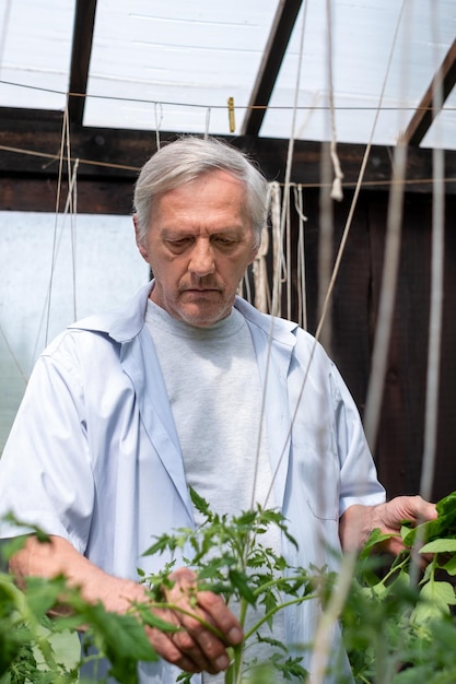 Photo elderly man tending to plants in a greenhouse the image captures the essence of active aging and sustainable living